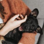 Is Getting a Pet as a Gift a Good Idea?