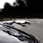Purr-fect Presents: A Guide to Gift Ideas For Jaguar Car Enthusiasts